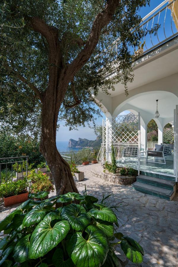 Apartment Incanto Stunning Sea View
