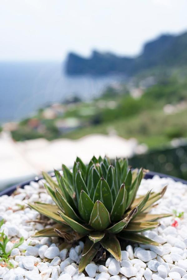 Incanto Stunning Sea View Apartment *